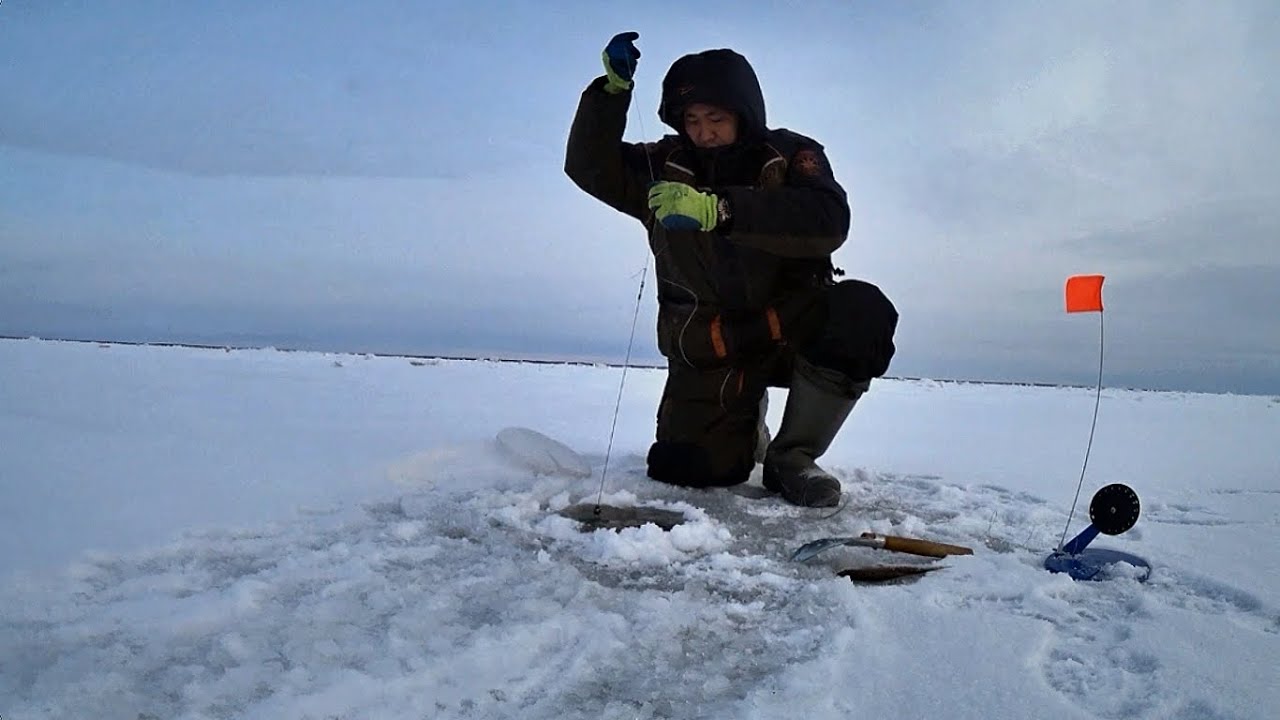 рыбалка зимой новые видео 2020 клевая. первый лед 2020 2021 зимняя рыбалка якутия. рыбалка зимой новые видео 2020 клевая. рыбалка в якутии 2020 2021. клевая рыбалка в якутии 2020.