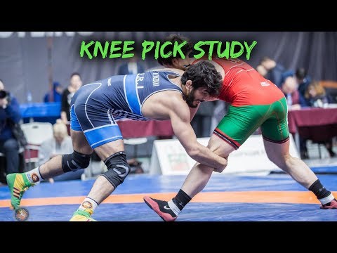 Hassan Yazdani - Knee Pick Study