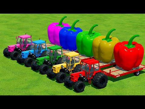 TRANSPORT GIANT PEPPERS WITH FIAT TRACTORS - Farming Simulator 22