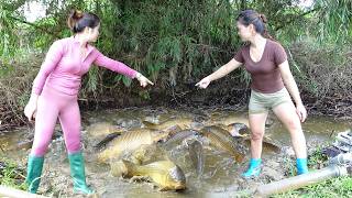 Young Girl Fishing on The Lakes, Unbelievable Fishing Hack Using Water Pump, Catch a Lot of Fish