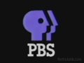 PBS 1970 2000