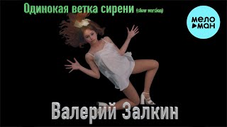 Валерий Залкин - Одинокая ветка сирени [Slow Version] (Single 2024)