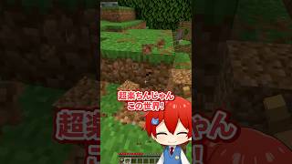 全てが2倍になってしまうマインクラフト【まいくら・Minecraft】よろずや🍭