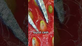 California Mother&#39;s Journey of Loss, Hope, Pablo Escobar&#39;s Unexpected Act of Kindness