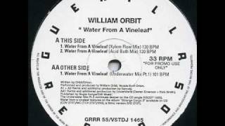 William Orbit - Water From A Vine Leaf (Acid Bath Mix)