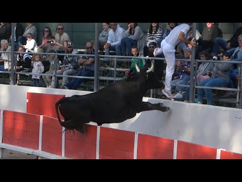 NEW LEAGUE RACE (28.10.23)