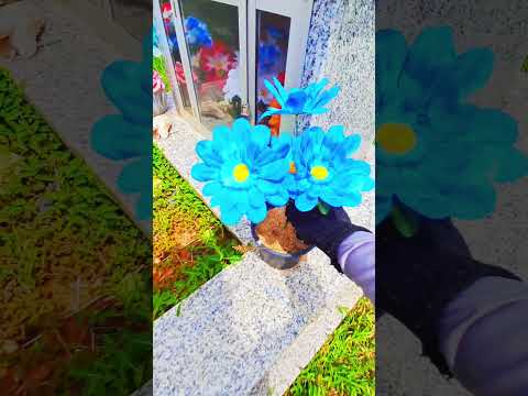 Cemitério da cidade Vale do Paraiso RO.