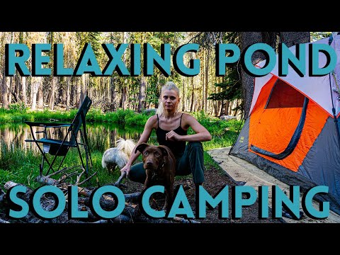 Relaxing Off-Grid CAMP by POND | Solo Women & Dogs | No Talking