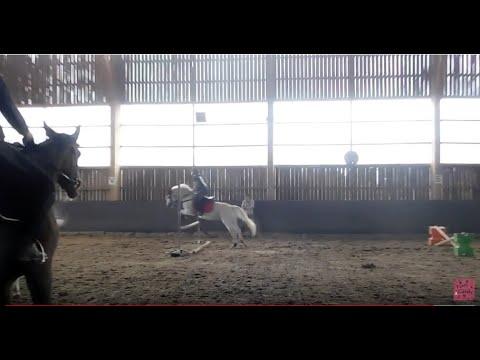 [cours n°4] on saute 85 cm ! w/rosalia