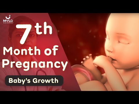7 Month Pregnancy Baby Growth | 7 Month Pregnancy Baby Movement | Mylo Family