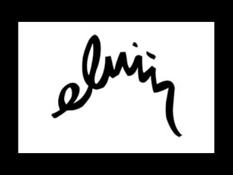 Lily Allen - The Fear  (Elviin cover)