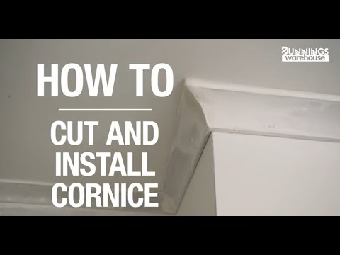 Plasterboard Cornice