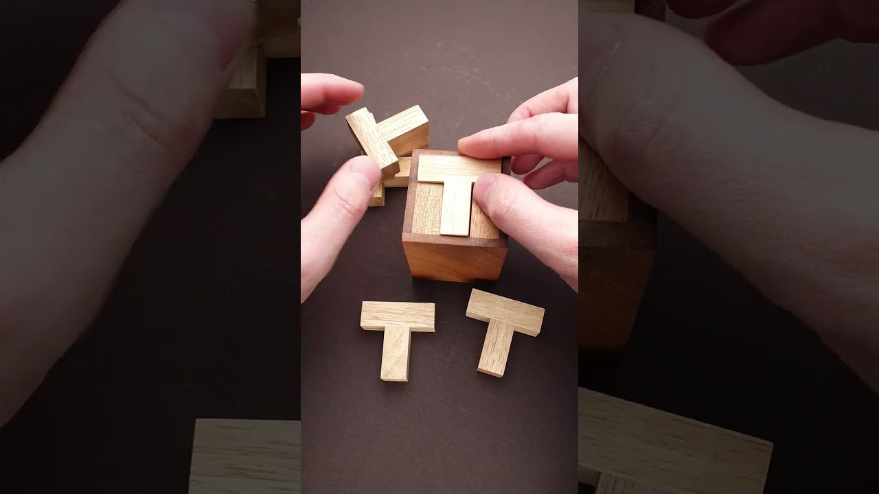 How hard is Six T puzzle? #shorts