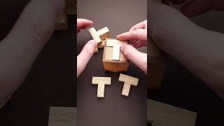 How hard is Six T puzzle? #shorts
