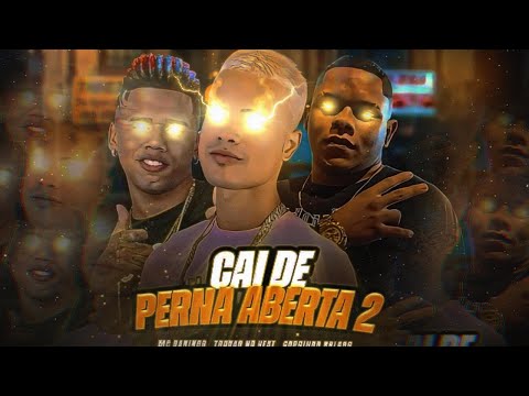 TROVÃO NO BEAT - GORDINHO BOLADO - MC DANINHO - CAI DE PERNA ABERTA 2 (vai rolar uma festinha )