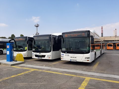 Sofia, bus line 73, Ovcha kupel 2 to Goce Delchev. May 2021