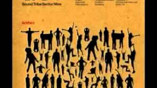 STS9 - "Peoples" - Artifact