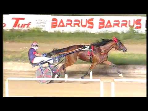 Trotto 03/07/2020 - 5ª corsa