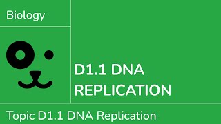 D1.1 DNA Replication [IB Biology SL/HL]
