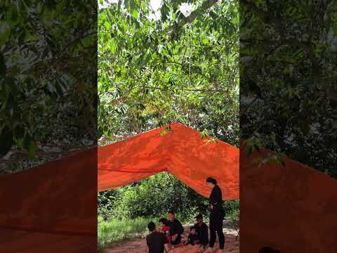 na Beira  do Rio Maracaçumé #Maranhão #pescaria #interior