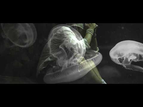 YUNG NIGO feat. SANO - Hibiscus