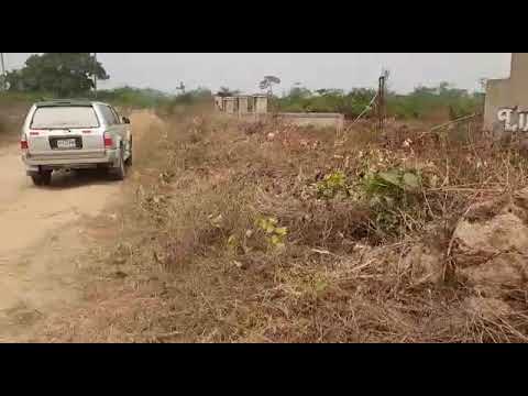 Land For Sale Agodo Igbonla Epe Epe Lagos