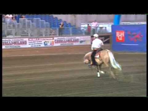 ANDREA IANNETTA-JAC LITTLE SAILOR - 2010 Maturuty Non Pro Final