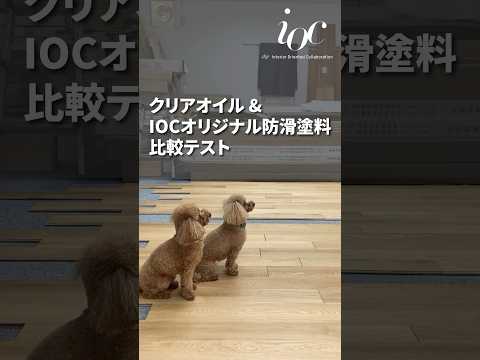 クリアオイルとIOCオリジナル防滑塗料 犬の滑り比較テスト