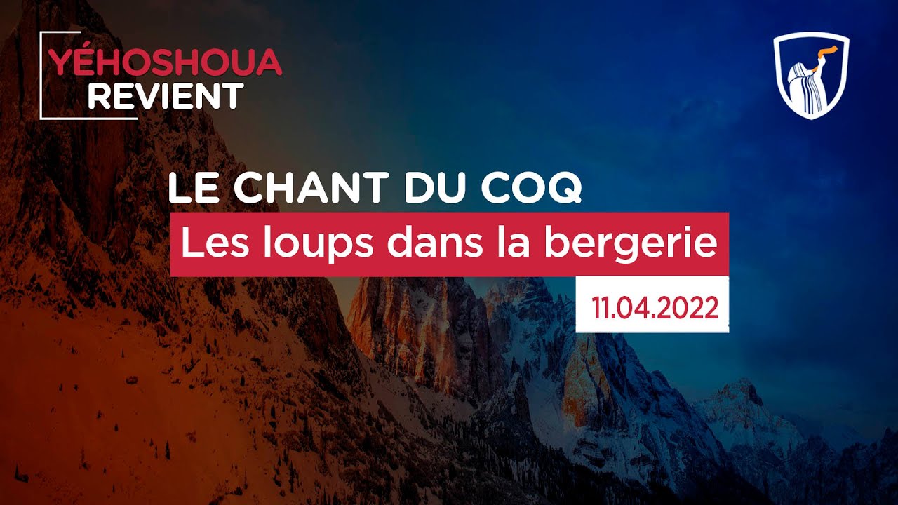 Thumbnail of video: Les loups dans la bergerie