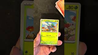 Day 128 | #pokemonchannel #pokemon #newpokemonset #collectiblecards #pokemontcg #pokemoncards
