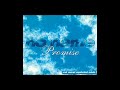 No Name feat. Taleesa - promise (Velocity Mix) [1994]