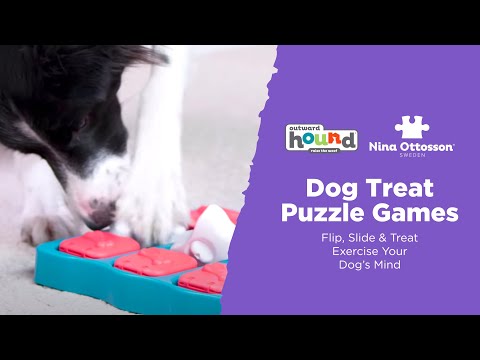 Игрушка для собак Nina Ottosson Treat Tumble Large (Трит Тамбл мяч) для лакомств d=15 см (no67327) - фото 1 - id-p1665574686