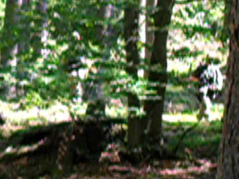 Volary-6 .P.A.S třelba na fotografa!