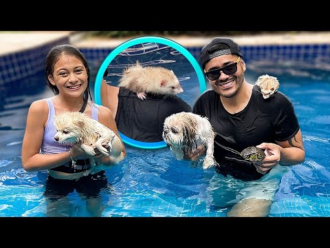 ENTREI COM TODOS OS PETZ DA BIANKINHA NA PISCINA!! TEENS FUN