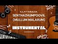 Senthazhumpoovil Mullum Malarum Instrumental