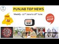 Punjab News Latest News Punjabi News ਪੰਜਾਬੀ ਖਬਰਾਂ ViniMahajan Locust PunjabCor