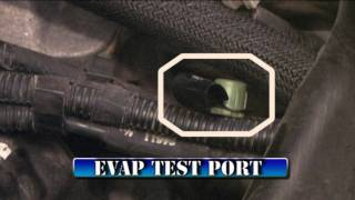 Wells Dodge EVAP Troubleshooting and Repair P0442 P0455
