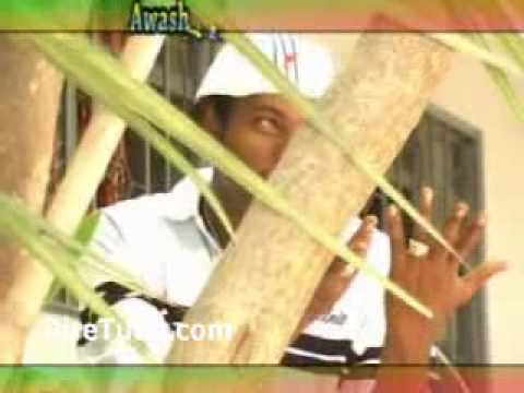 Taju Shurube - Dhugumaani