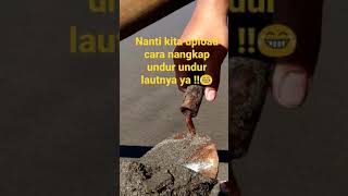 Download lagu Cara Menangkap udur undur laut,nanti kita upload caranya.. 😂 #shorts  #viral #subscribe mp3