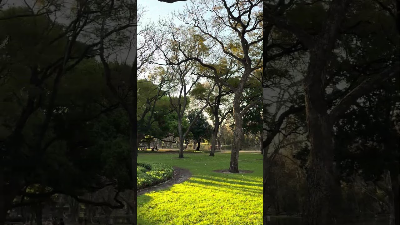 YouTube Short thumbnail