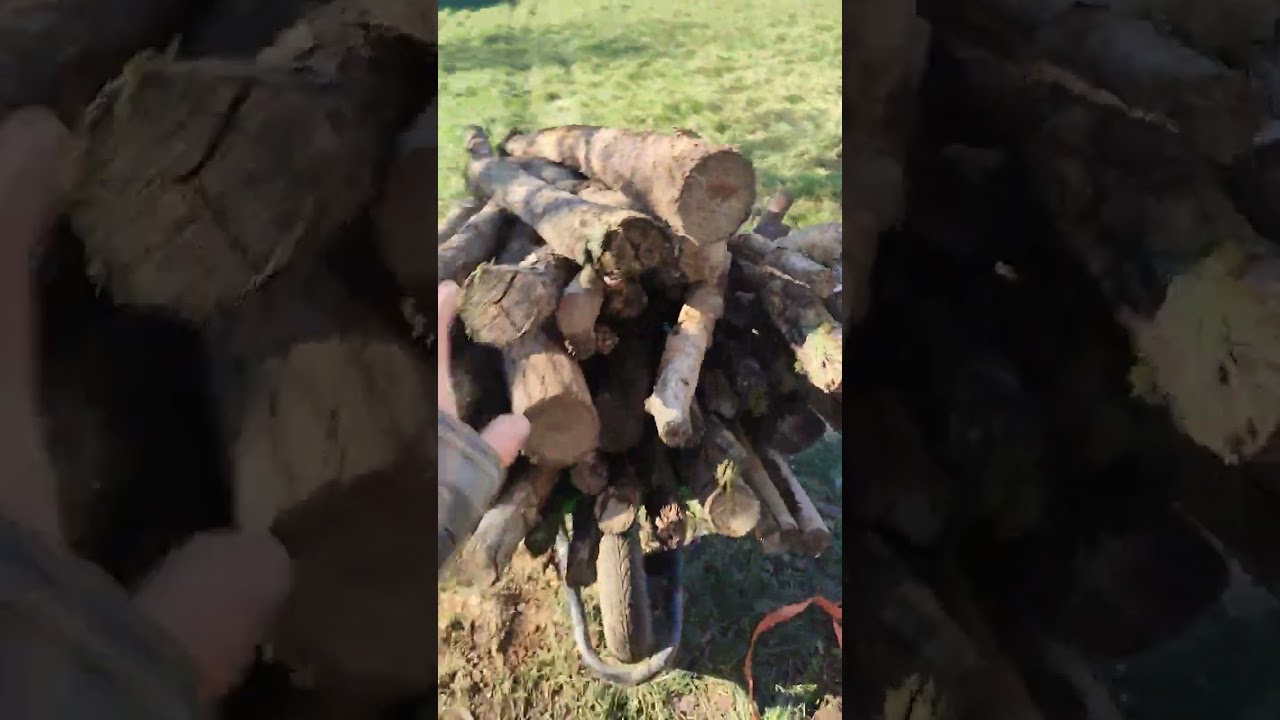débardage bois de chauffage #youtubeshorts