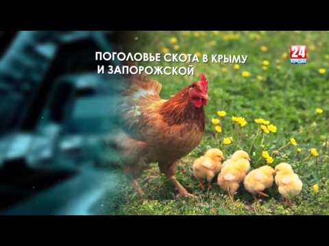 ��������� 6.05.2016 