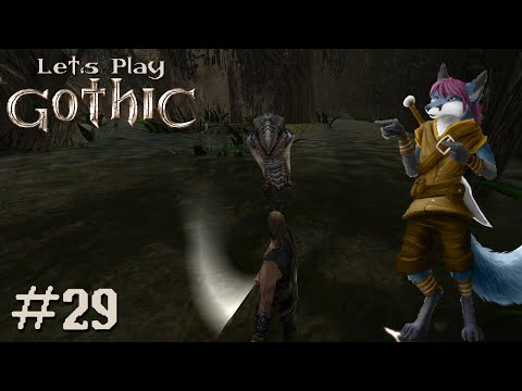 Let's Play Gothic ⚔️29 - Sumpfkraut Ernte