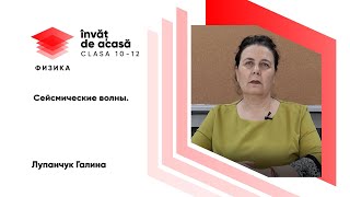 "Сейсмические волны"