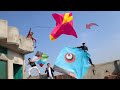 Monster Pari Kite Flying 5 Small Kite Catch Double Tape