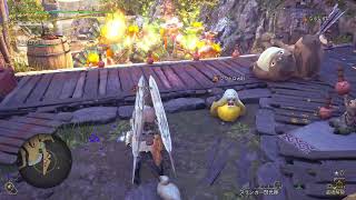 [MHWilds]自分記録用299
