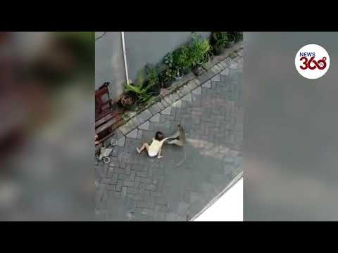 साईकिल सवार इस Monkey ने बच्चे की Kidnapping की कोशिश क्यों की? Shocking...
