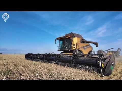 НОВОСТИ УТРА – 28 июля 2026