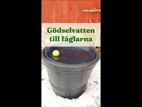 (Gödsel)vatten till fåglarna - Trädgårdshacks med GardenR
