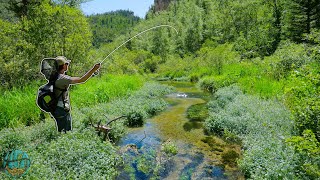 Is this America's Most Underrated Trout Fishing Destination? (Fly Fishing South Dakota)